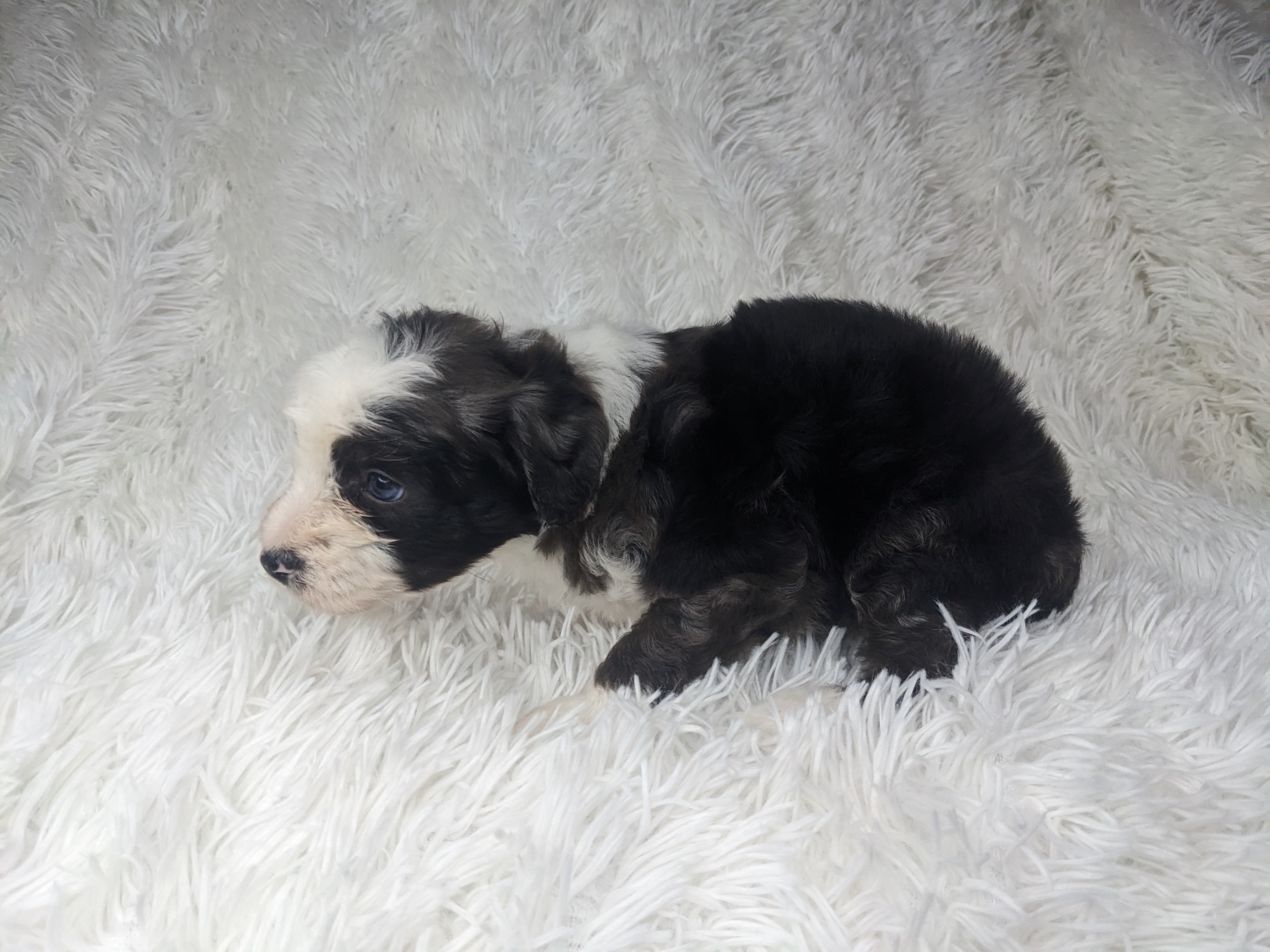 Sleepy