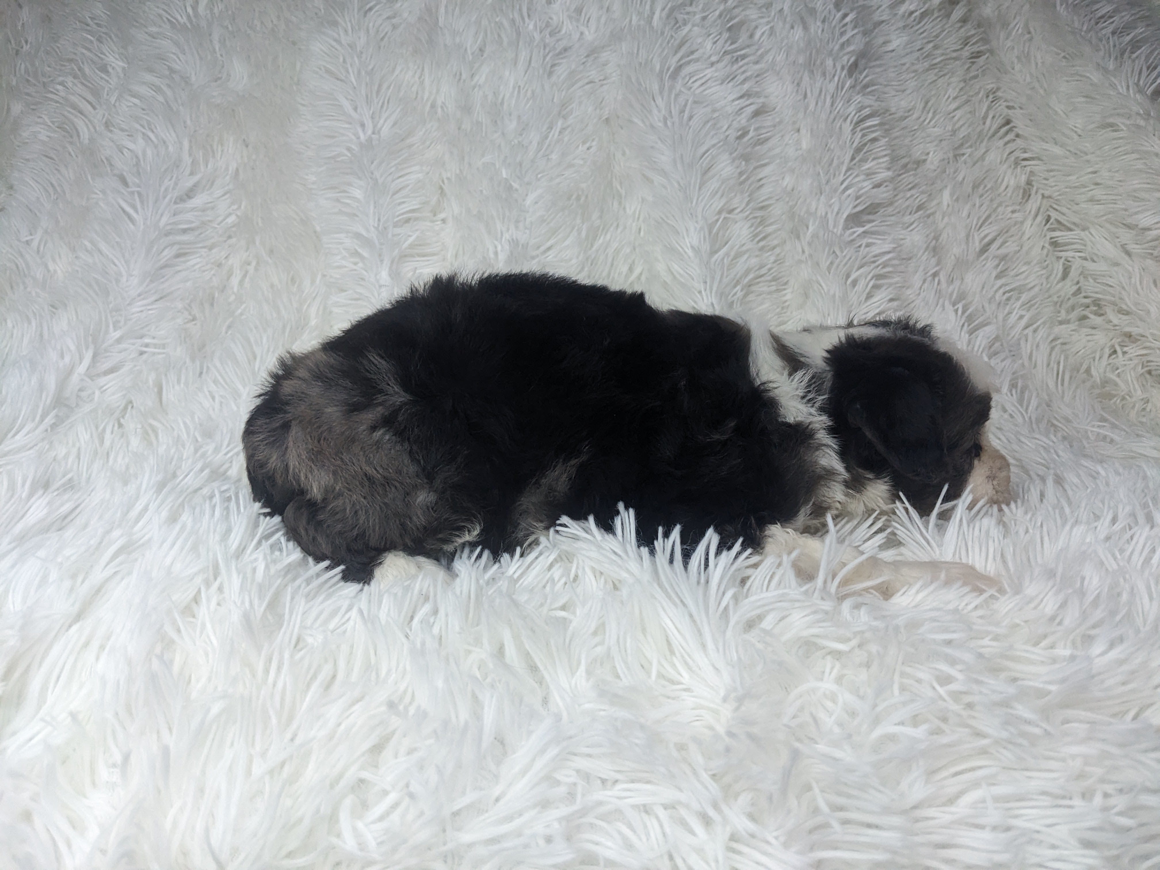Sleepy
